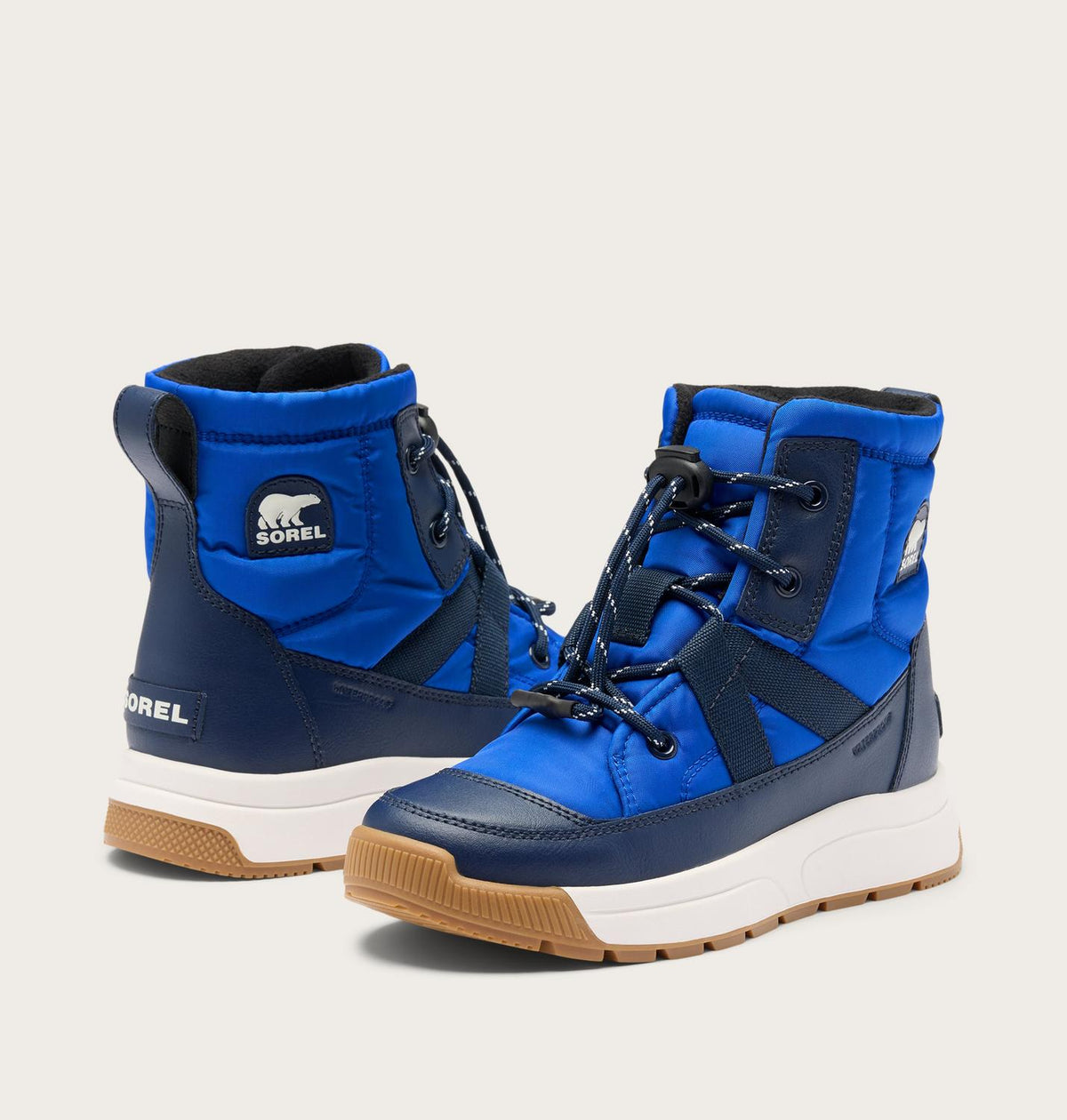 Big Kids Whitney™ III Mid Winter Boot - US 2020