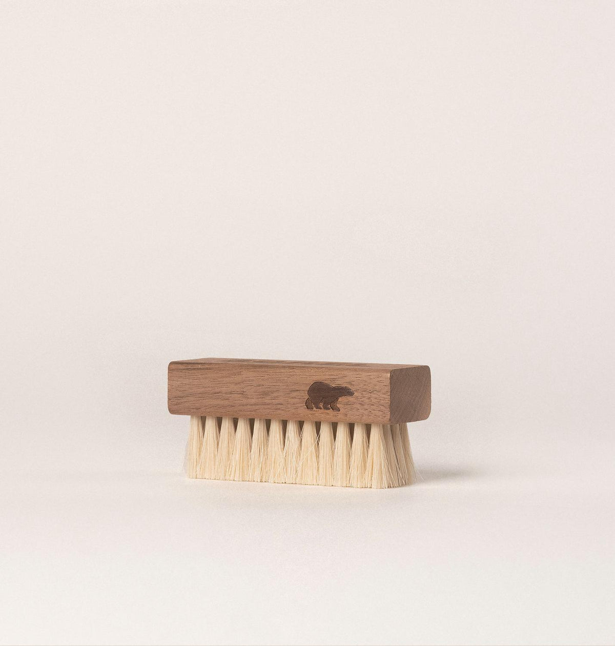 Essential Shoe Care Kit - US 8361